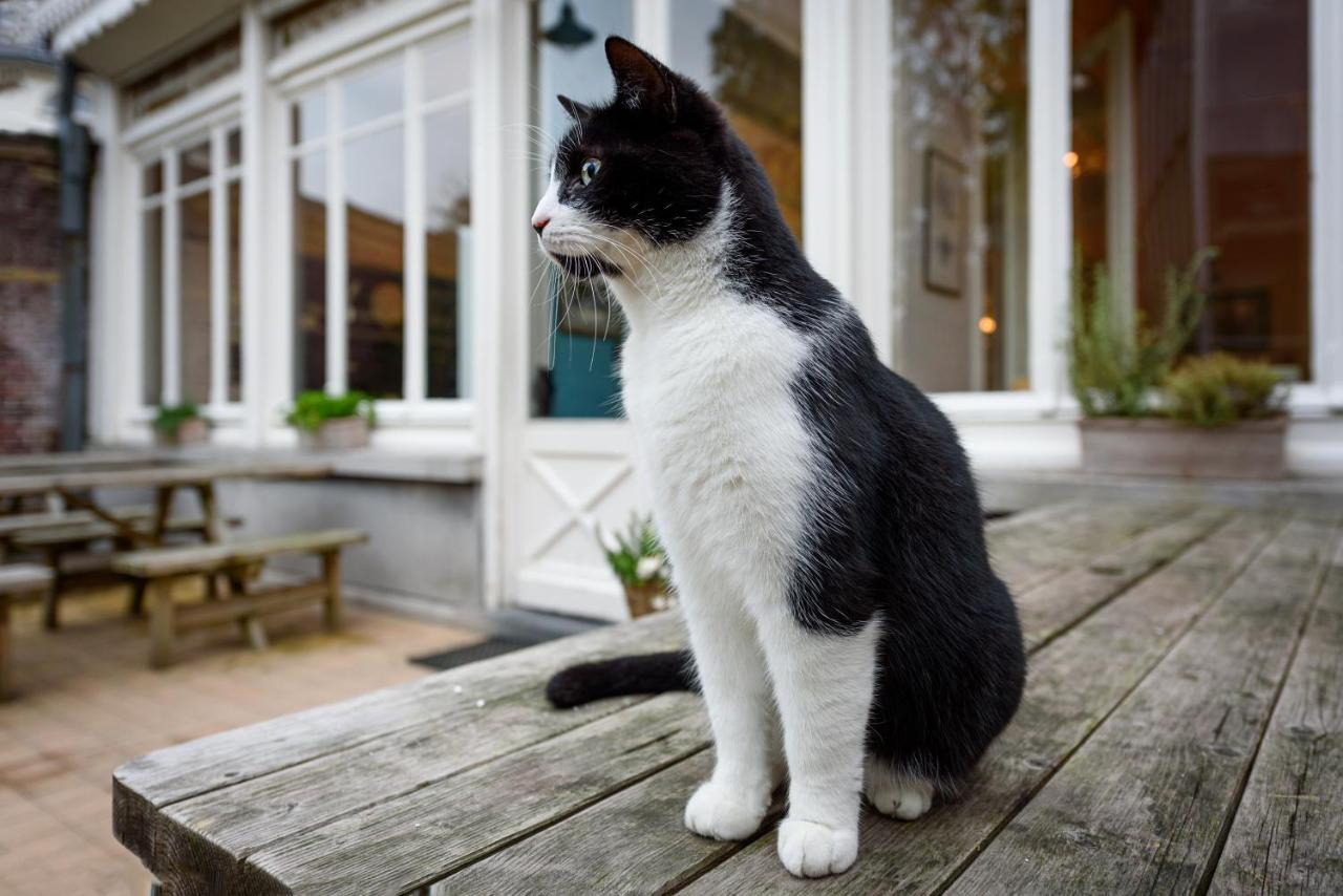 ホテル Talbot House ポペリンゲ エクステリア 写真
